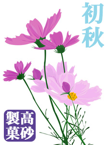 埼玉揚げせん
